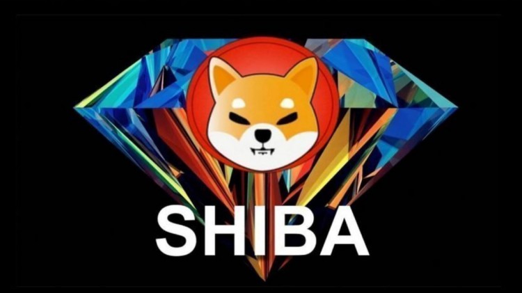 柴犬 [SHIB] 成为 2023年最受欢迎的假币！柴犬还能继续保持人气吗？