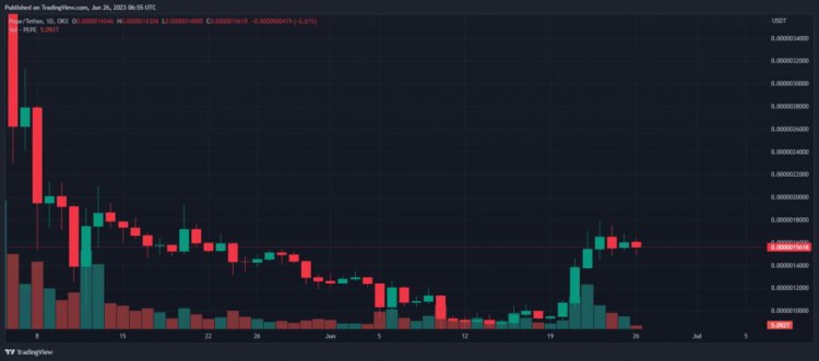 PEPE飙升63%，投资者下一步何去何从？