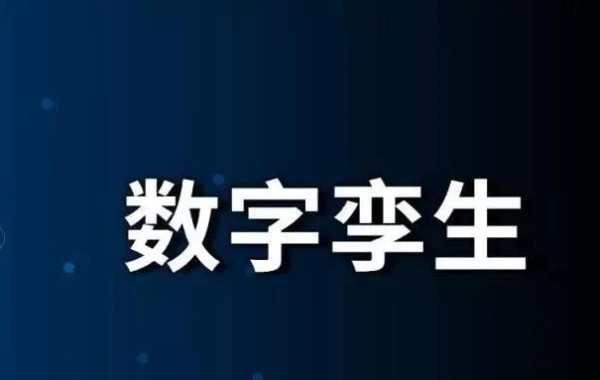 通俗地解释了数字孪生