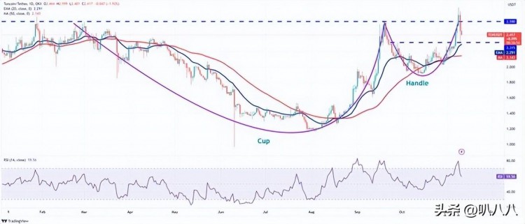 比特币（BTC）价格分析：随着比特币的不断上涨，山寨币成为焦点