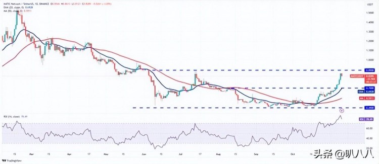 比特币（BTC）价格分析：随着比特币的不断上涨，山寨币成为焦点