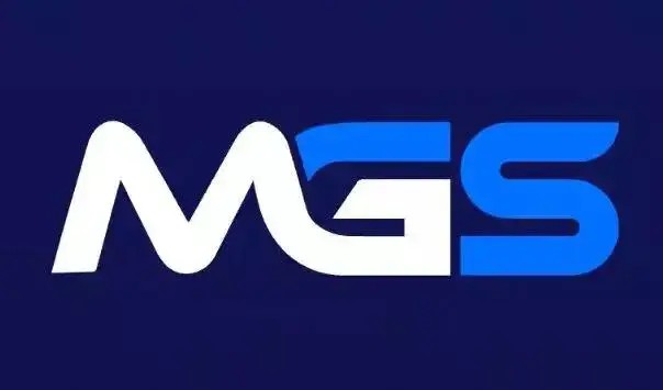 什么是MGS？MGS的最低投资是多少？