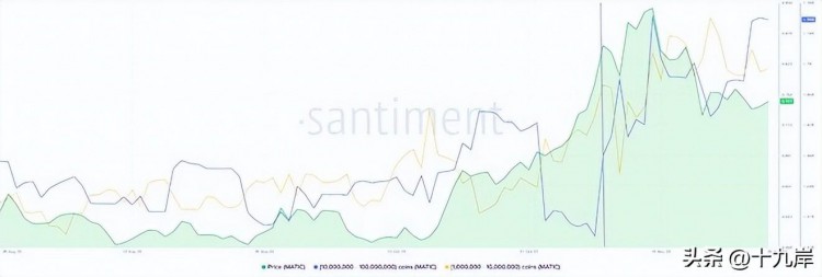 Polygon MATIC原生代币备受追捧，鲸鱼疯狂购买可能带来高回报