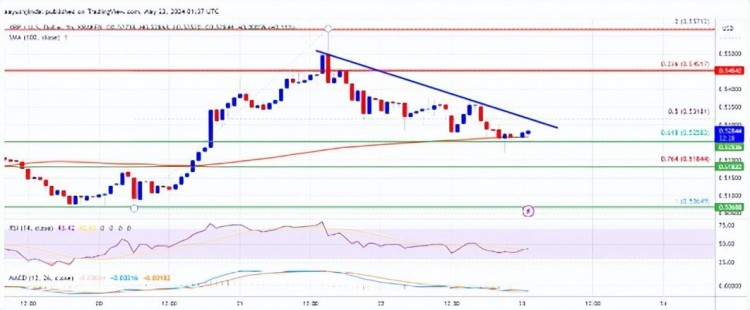 XRP 价格再一次转红：加密货币的下一步是什么？