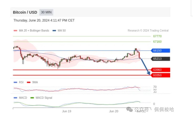 多头，做空全输！比特币（BTC)惊喜巨鲸“怪异”交易！